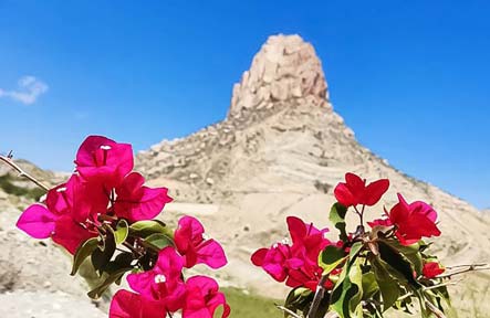 منطقه کوهستانی جم